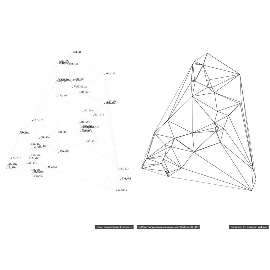 Vector coordinate numbers alongside final vector drawing in black and white