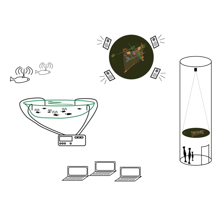 Diagram showing relationship between fish in lake, computers, and video projection in tower