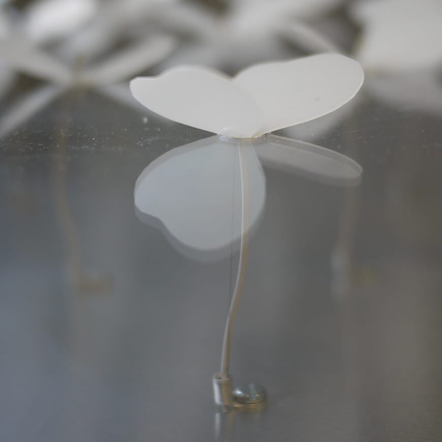 White winged object sitting on translucent surface with wires visible underneath