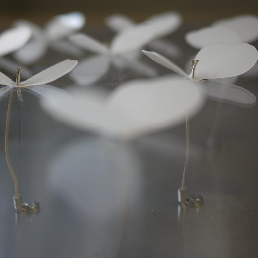 Close-up of white winged objects with wires shown underneath