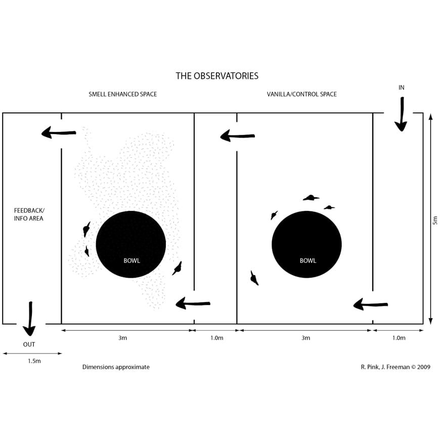 Diagram showing two rooms, one is labelled control space and the second is labelled smell enhanced space